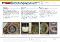  Industry=|Language=English|LanguageId=en|ProductLine=Lubricants|MaterialCategory=|MaterialCode=