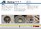  Industry=Mining|Language=English|LanguageId=en|ProductLine=ARC|MaterialCategory=|MaterialCode=
