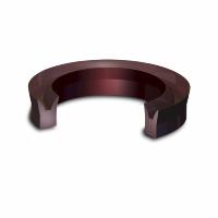22KN Rod and Piston Seals